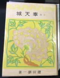 小説　奉天城　満洲建国記第一部