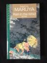 Rain in the Wind: Four Stories