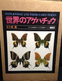 世界のアゲハチョウ