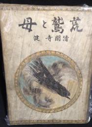 荒鷲と母