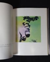 イマージュの解剖学