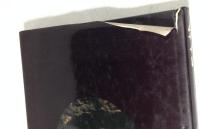 ムササビ : その生態を追う