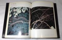 ムササビ : その生態を追う