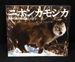 ニホンカモシカ : 孤高の森の野生