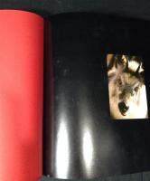 ニホンカモシカ : 孤高の森の野生