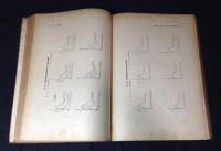 実験温泉治療学