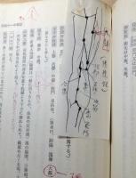 鍼灸真髄 : 沢田流聞書