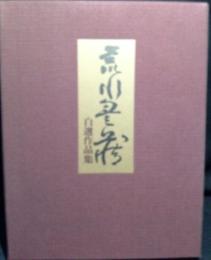 荒川豊蔵自選作品集
