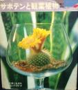 サボテンと観葉植物