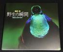 野生の瞬間 : 嶋田忠 : 華麗なる鳥の世界