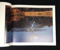 野生の瞬間 : 嶋田忠 : 華麗なる鳥の世界