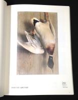 イメージの原風景　日本の水彩展