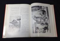 幕末日本 : 異邦人の絵と記録に見る