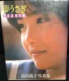 写真集 夢うさぎ アイコ十六歳