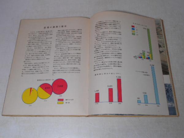 定番スタイル 資料朝鮮民主主義人民共和国 若林 熙 編著 cinemusic.net