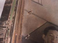 写真週報　第196号～第364・365（合併）号のうち149冊