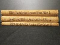 TOLDT & HOCHSTETTER Anatomischer Atlase Ⅰ～Ⅲ