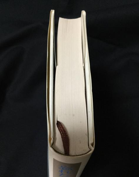 忘れたことと忘れさせられたこと | 江藤淳 著 | 文芸春秋 | ¥2,700