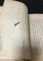 探偵小説　靨　ゑくぼ