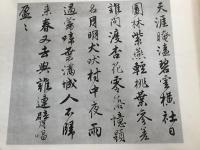 唐寅落花詩冊