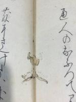 俳諧笈撈集 憲屋曲淵編