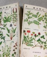 ポケット用　原色植物図集