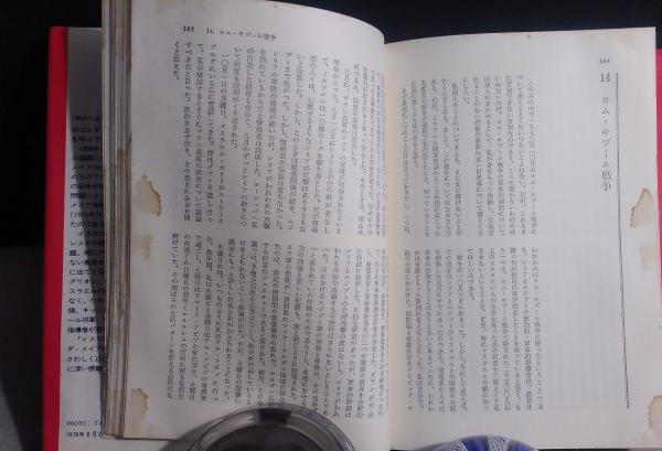 ゴルダ・メイア回想録 : 運命への挑戦(ゴルダ・メイア 著 ; 林弘子 訳 