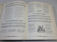 Das grobe Hausbuch der Volkslieder