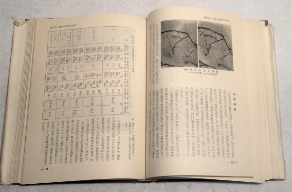 日本農耕文化の生成 全2冊(日本考古学協会) / 古本、中古本、古