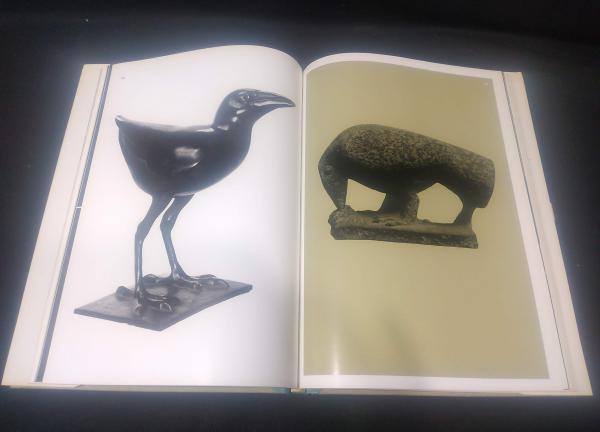 鳥 Birds | 山本常一 | nostos books ノストスブックス