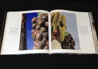 サグラダ・ファミリア ガウディとの対話(外尾悦郎/宮崎真紀訳) / 古本