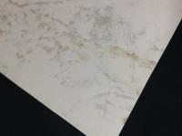 浮世絵名作集