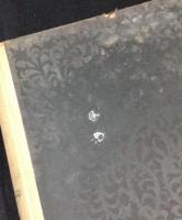 世界文学全集(10) 猫橋。憂愁婦人