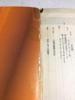 ライナー・ノーツ 　渋谷陽一　ロッキング・オン増刊　1980