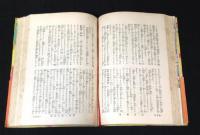 ライナー・ノーツ 　渋谷陽一　ロッキング・オン増刊　1980
