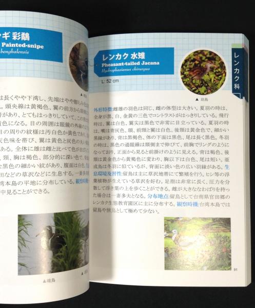 台灣の野鳥300図鑑 台湾の野鳥300図鑑 / 古本、中古本、古書籍の通販は「日本の古本屋