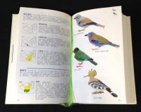 (中文) 中国野鳥図鑑　A field guide to the birds of China