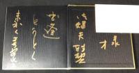 胸三寸腕一分　根上浩藏対談集