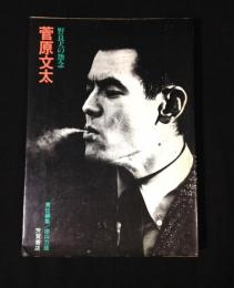 菅原文太 : 野良犬の怨念
