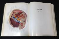 臨床応用局所解剖図譜 第2巻　胸部と腹部と四肢