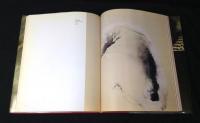 横尾龍彦 : 1980-1998