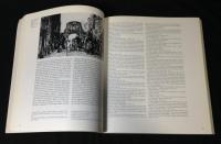 Antonio Fontanesi: E la pittura di paesaggio in Italia 1861-1880　アントニオ・フォンタネージ