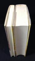 現代批評理論 22の基本概念／続：現代批評理論 ＋6の基本概念　正続2冊揃