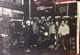 新宿群盗伝66/73