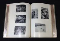 岡田三郎助作品図録