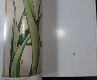 ヨーロッパ花の装飾文様