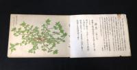 原色野生食用植物図説集　　新春の巻(十五種) 大戦下採取用必携