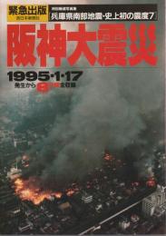 阪神大震災 ―1995・1・17 発生から8日間全収録