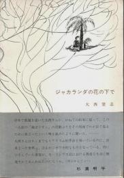 ジャカランダの花の下で