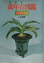 万年青図鑑